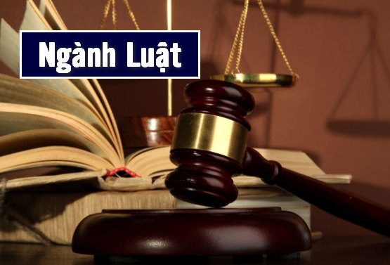 Chương trình đào tạo ngành Luật