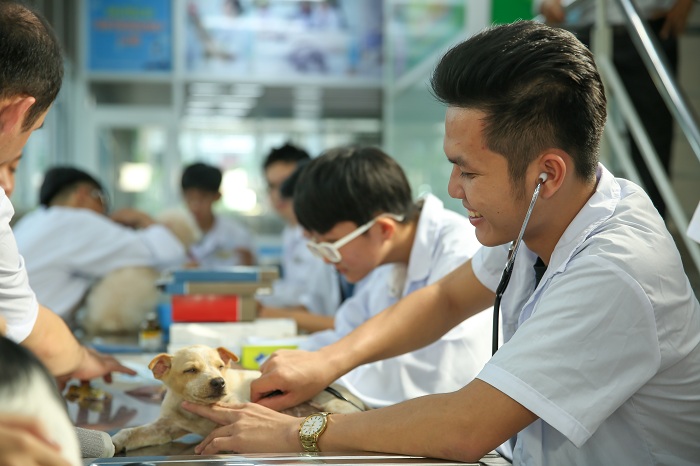 Chương trình đào tạo ngành thú y